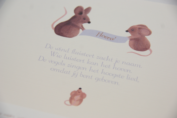 geboortekaartje noah lila